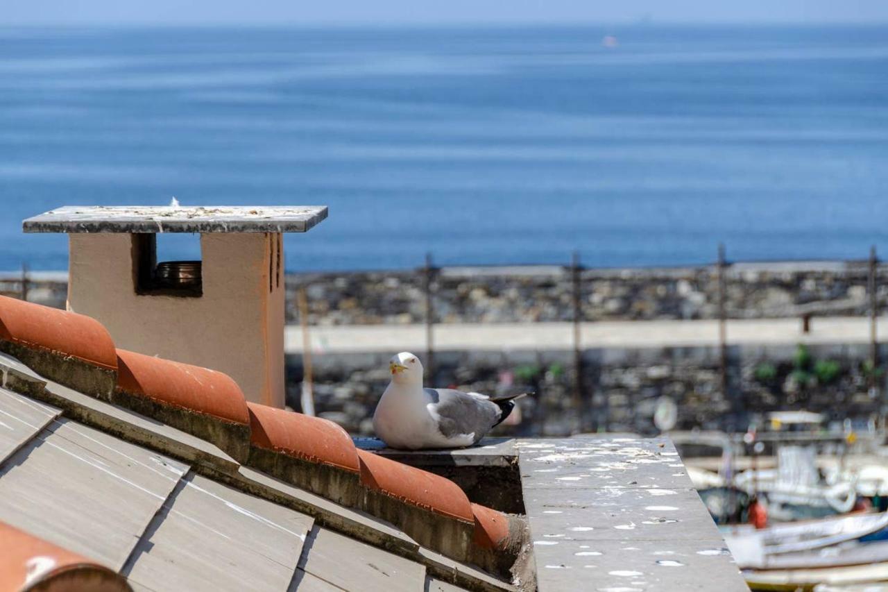 Joivy Charm 1 Bed Apt Overlooking Port Of Camogli Apartman Kültér fotó