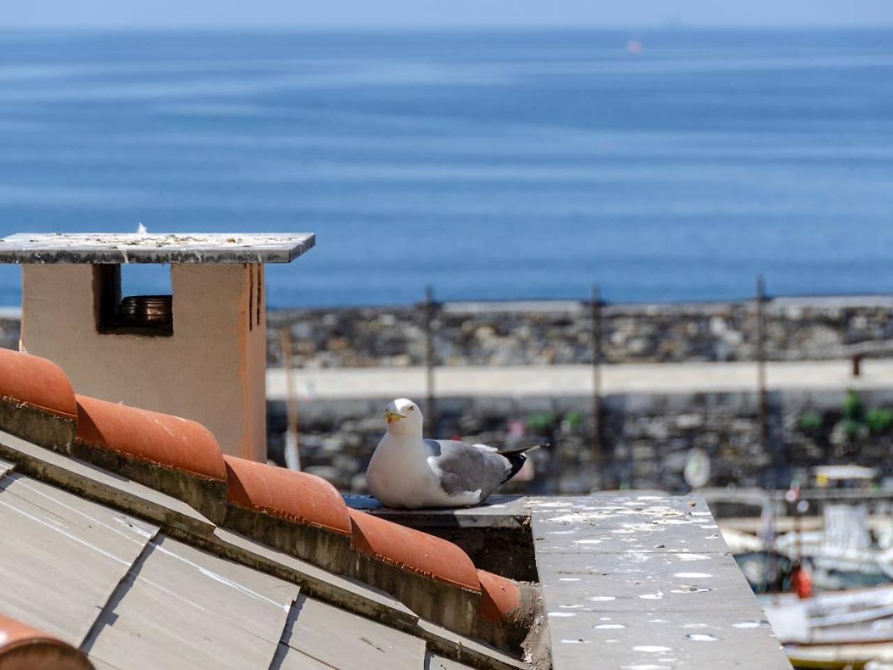 Joivy Charm 1 Bed Apt Overlooking Port Of Camogli Apartman Kültér fotó